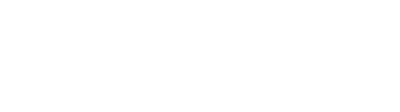 Motoring Excellence